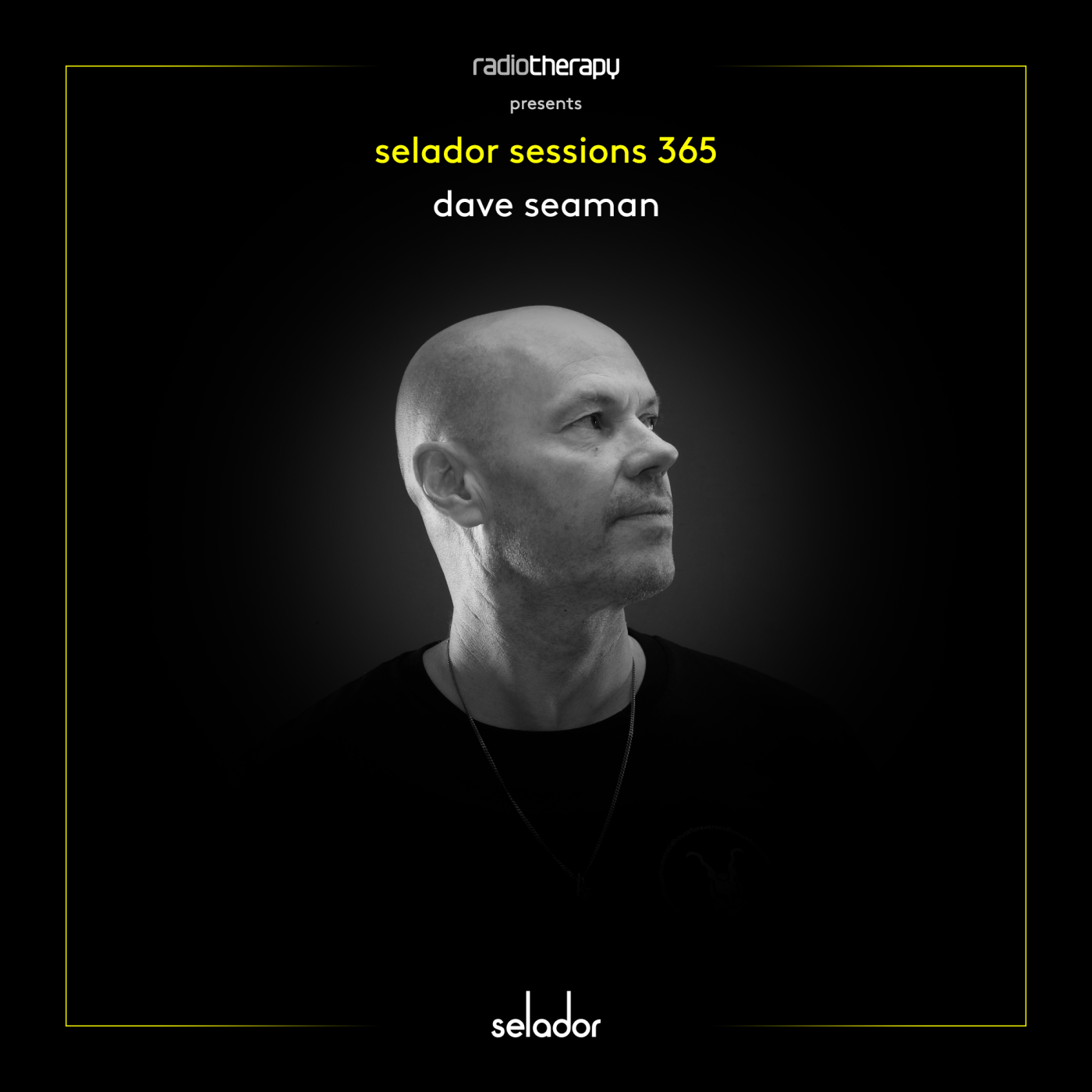 Selador Sessions 369 | Dave Seaman's Radio Therapy — Selador Sessions cover